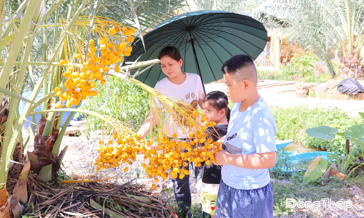 Du khách thích thú tham quan tại vườn sinh thái Chala Farm.